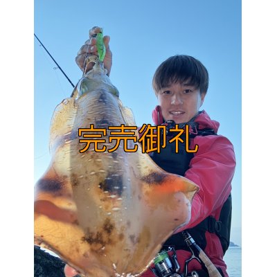 画像2: WILDCHASE 3.5号シャローtune /ピーコックＵＶ[監修:野田 広忠]