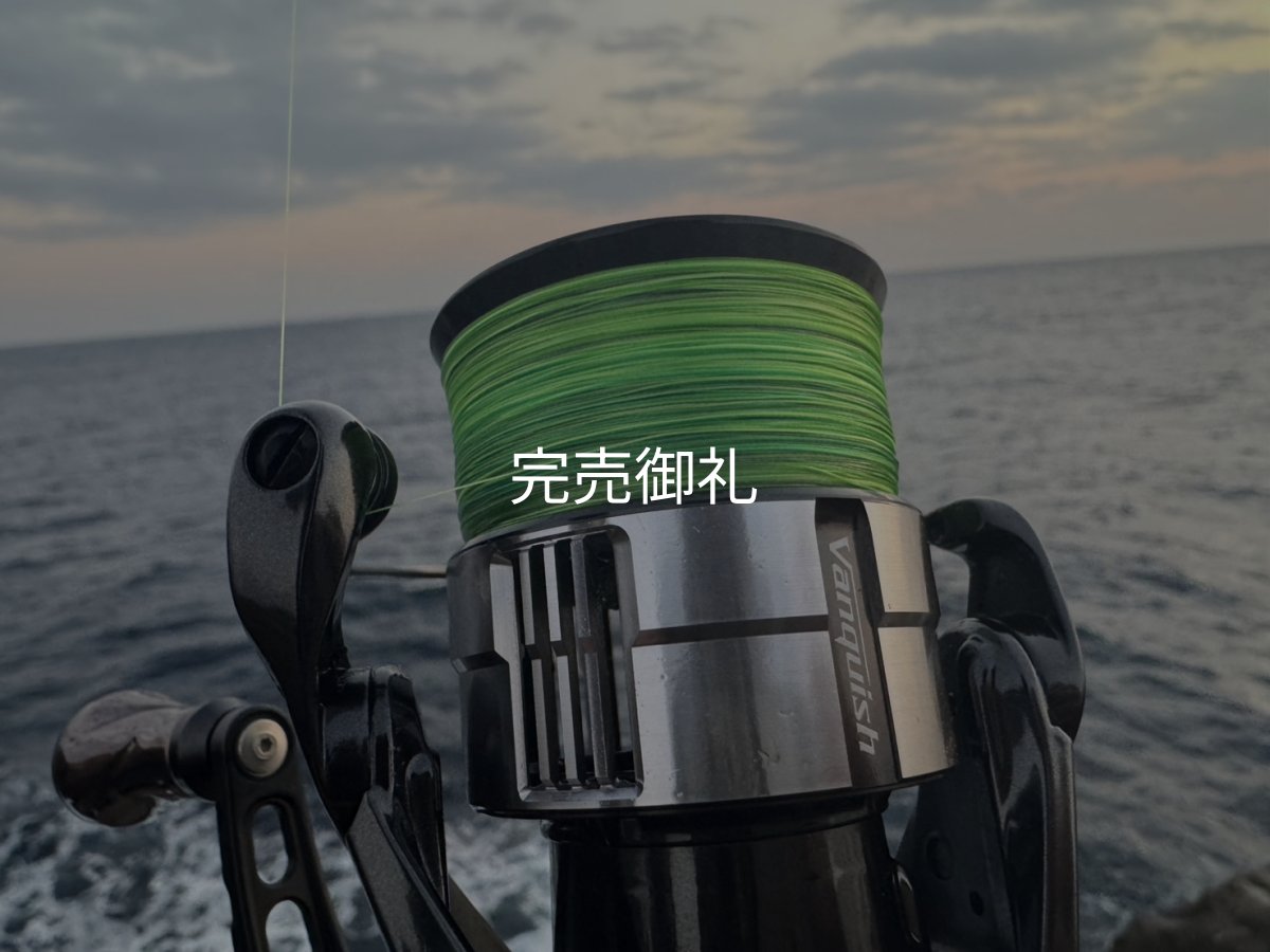 画像3: 【ARMY GRADATION】X8-PE 0.6-200m  (3)