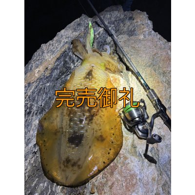 画像13: WILDCHASE 3.5号シャローtune /ピーコックＵＶ[監修:野田 広忠]