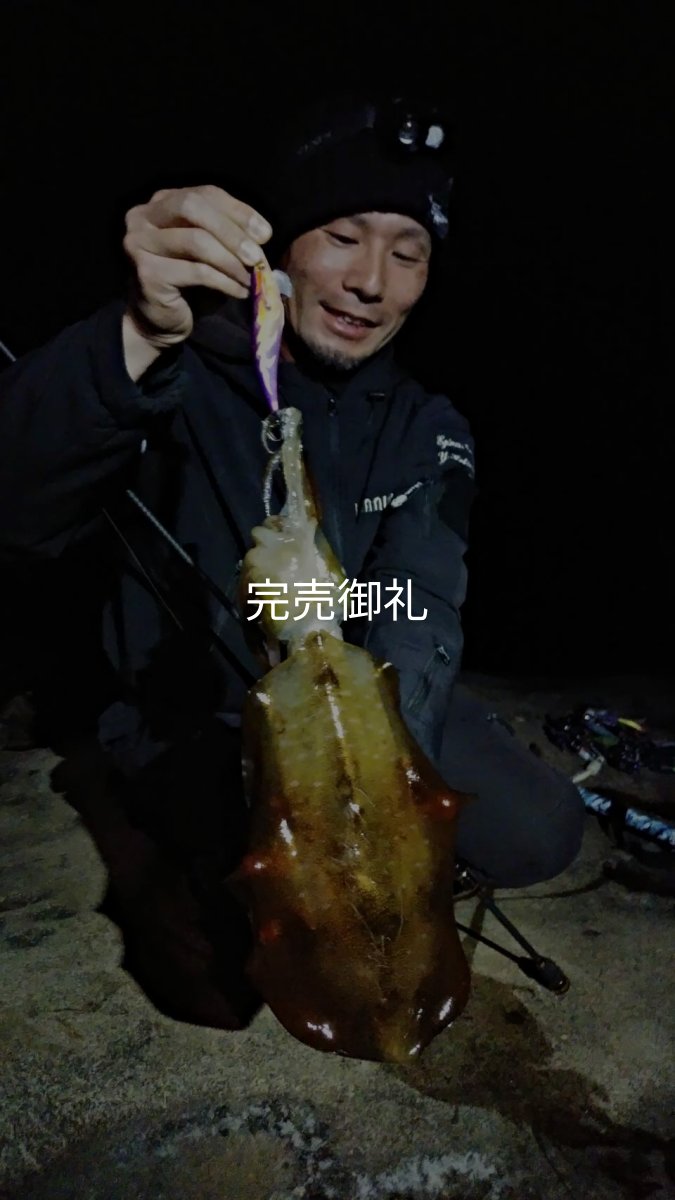 画像5: WILDCHASE 3.0号 /俺のフェニックス[監修:椿本 洋士] (5)