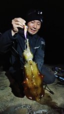 画像5: WILDCHASE 3.0号 /俺のフェニックス[監修:椿本 洋士] (5)