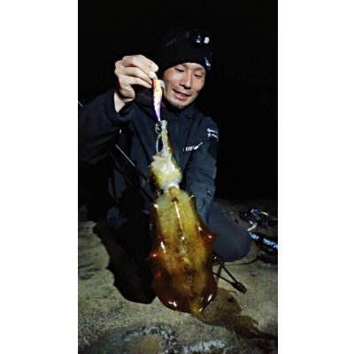 画像5: WILDCHASE 3.0号 /俺のフェニックス[監修:椿本 洋士]