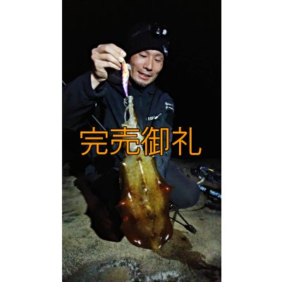 画像5: WILDCHASE 3.5号シャローtune /俺のフェニックス[監修:椿本 洋士]