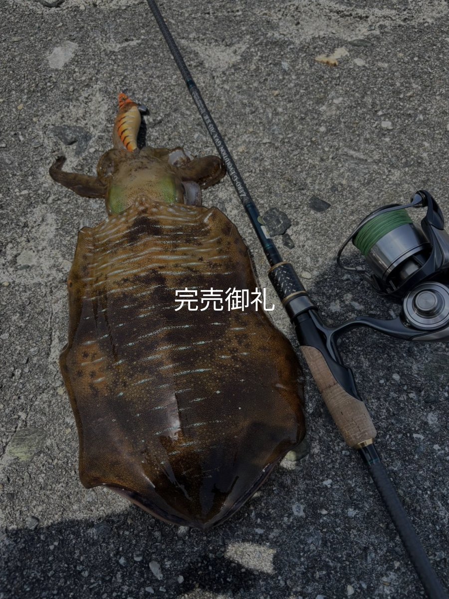 画像3: 【ARMY GRADATION】X8-PE 0.5-210m  (3)