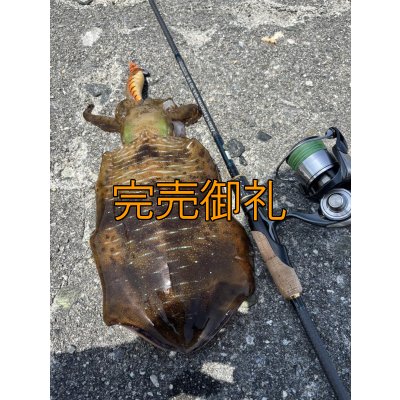 画像3: 【ARMY GRADATION】X8-PE 0.5-210m 