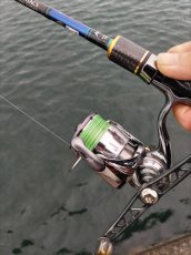 画像5: 【ARMY GRADATION】X8-PE 0.4-240m  (5)
