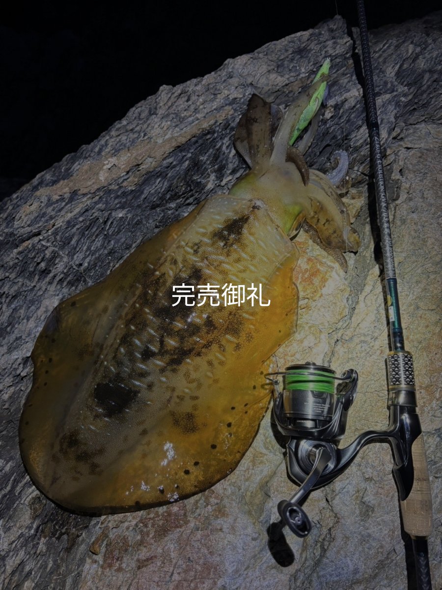 画像5: 【ARMY GRADATION】X8-PE 0.5-210m  (5)