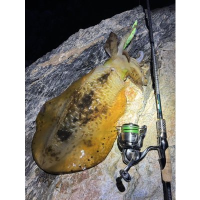 画像5: 【ARMY GRADATION】X8-PE 0.5-210m 