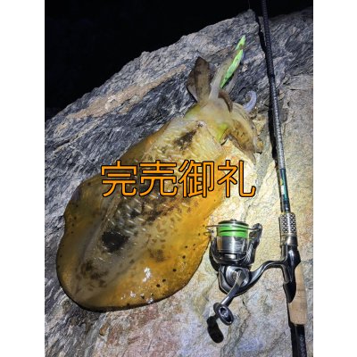 画像5: 【ARMY GRADATION】X8-PE 0.5-210m 
