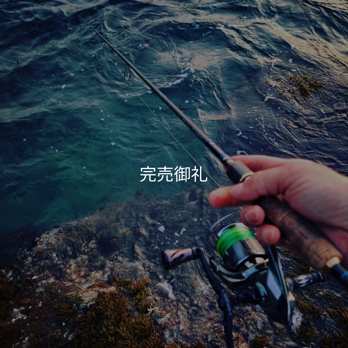 画像10: 【ARMY GRADATION】X8-PE 0.6-200m  (10)