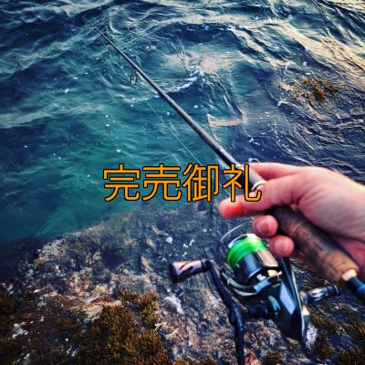 画像10: 【ARMY GRADATION】X8-PE 0.6-200m 