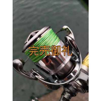画像7: 【ARMY GRADATION】X8-PE 0.5-210m 