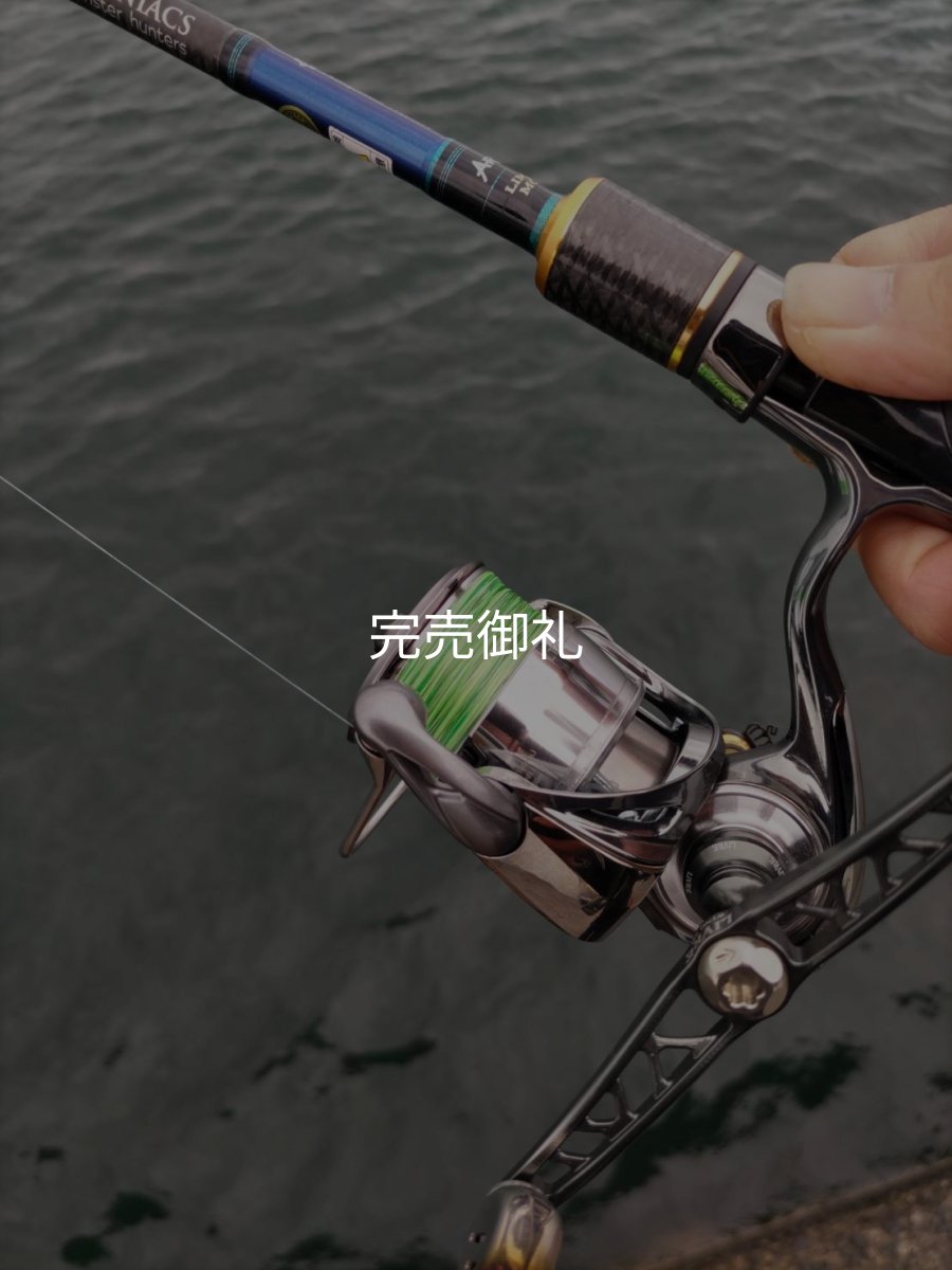 画像6: 【ARMY GRADATION】X8-PE 0.5-210m  (6)