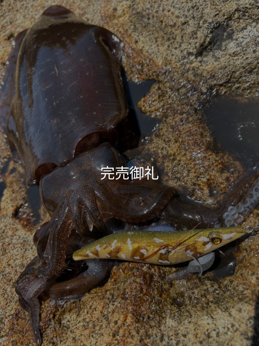 画像16: WILDCHASE 3.0号 /斑緑龍[監修:椿本 洋士] (16)