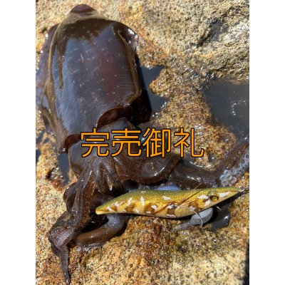 画像16: WILDCHASE 3.5号シャローtune /斑緑龍[監修:椿本 洋士]