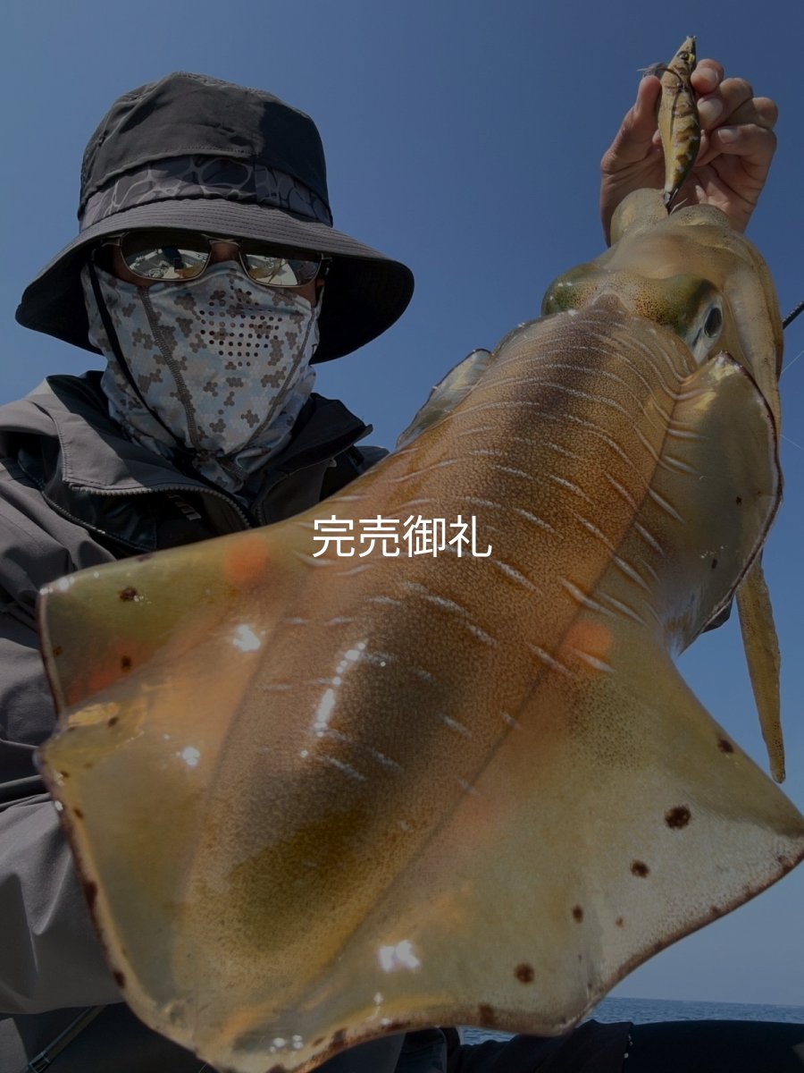 画像11: WILDCHASE 3.0号 /斑緑龍[監修:椿本 洋士] (11)