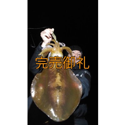 画像8: WILDCHASE 3.5号シャローtune /斑緑龍[監修:椿本 洋士]