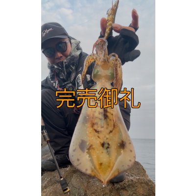 画像7: WILDCHASE 3.5号シャローtune /斑緑龍[監修:椿本 洋士]