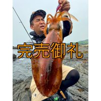 WILDCHASE 3.5号シャローtune /魅惑のチェリーパイソンＵＶ[監修:椿本 洋士]