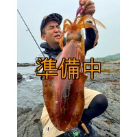 WILDCHASE 3.5号シャローtune /魅惑のチェリーパイソンＵＶ[監修:椿本 洋士]