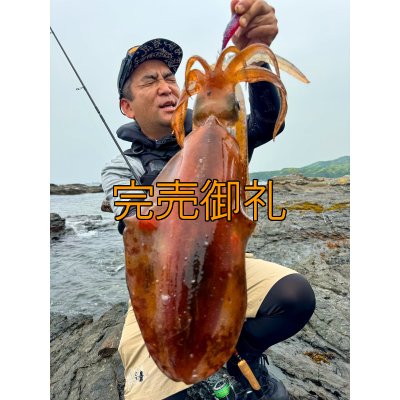画像1: WILDCHASE 3.5号シャローtune /魅惑のチェリーパイソンＵＶ[監修:椿本 洋士]