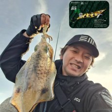 画像5: WILDCHASE 3.0号 /斑緑龍[監修:椿本 洋士] (5)