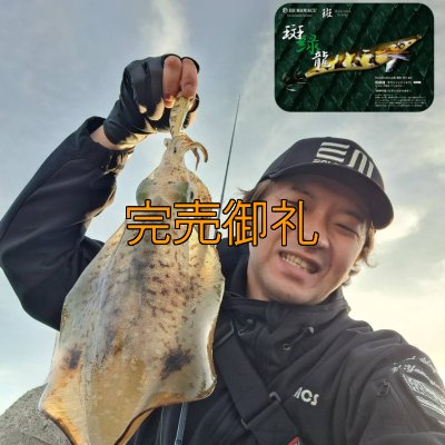 画像5: WILDCHASE 3.5号シャローtune /斑緑龍[監修:椿本 洋士]