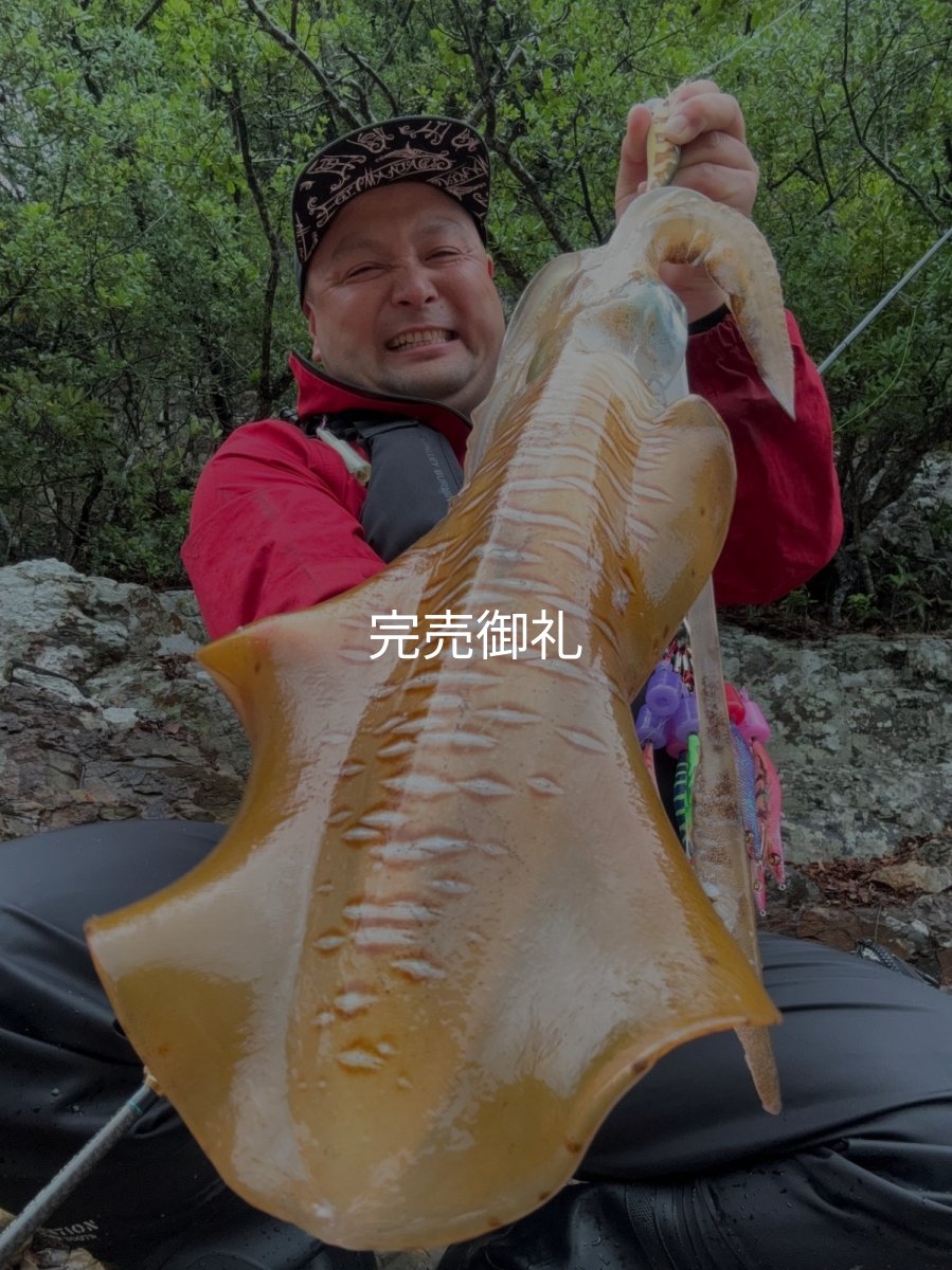 画像3: WILDCHASE 3.0号 /斑緑龍[監修:椿本 洋士] (3)