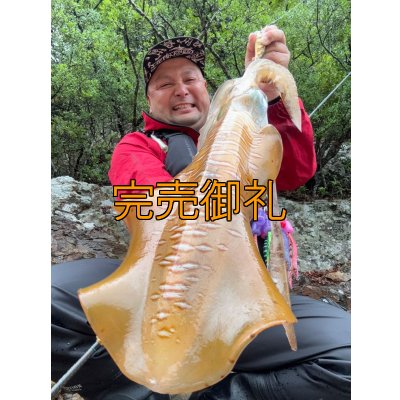 画像3: WILDCHASE 3.5号シャローtune /斑緑龍[監修:椿本 洋士]