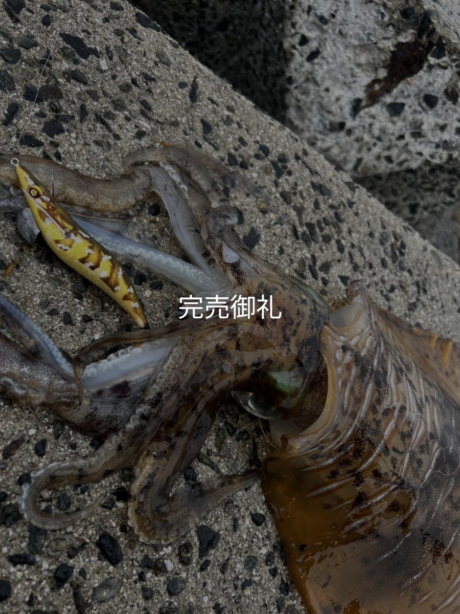 画像13: WILDCHASE 3.0号 /斑緑龍[監修:椿本 洋士] (13)