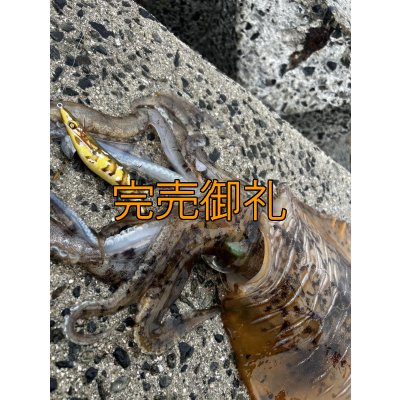 画像13: WILDCHASE 3.5号シャローtune /斑緑龍[監修:椿本 洋士]