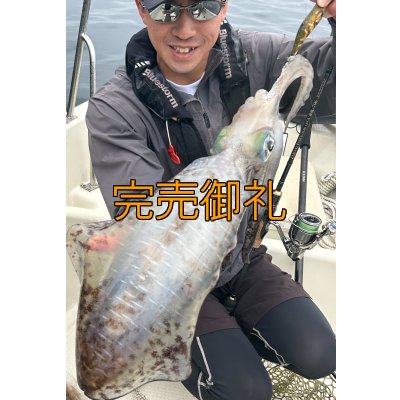 画像12: WILDCHASE 3.5号シャローtune /斑緑龍[監修:椿本 洋士]