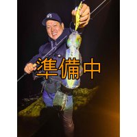 WILDCHASE 3.5号シャローtune /斑緑龍[監修:椿本 洋士]