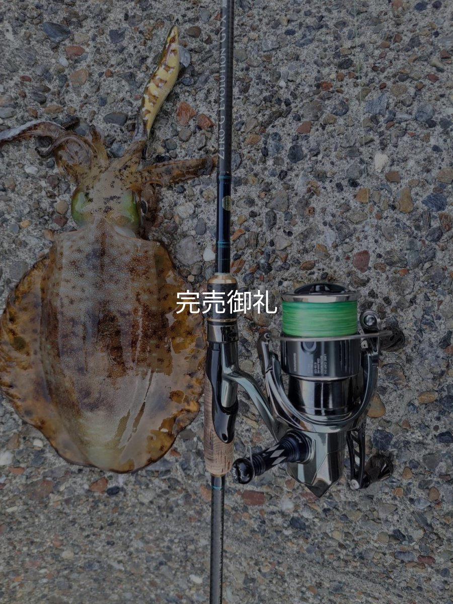 画像19: WILDCHASE 3.0号 /斑緑龍[監修:椿本 洋士] (19)