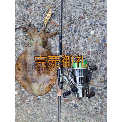 画像19: WILDCHASE 3.5号シャローtune /斑緑龍[監修:椿本 洋士]