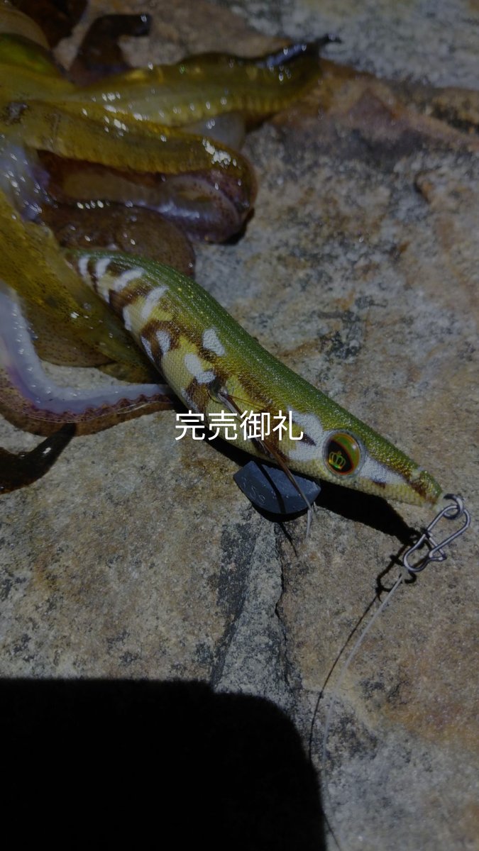 画像15: WILDCHASE 3.0号 /斑緑龍[監修:椿本 洋士] (15)