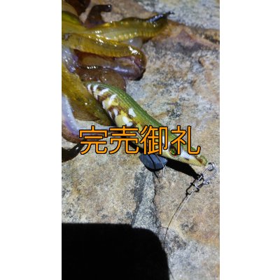 画像15: WILDCHASE 3.5号シャローtune /斑緑龍[監修:椿本 洋士]