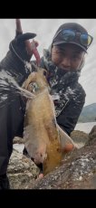 画像9: WILDCHASE 3.0号 /斑緑龍[監修:椿本 洋士] (9)