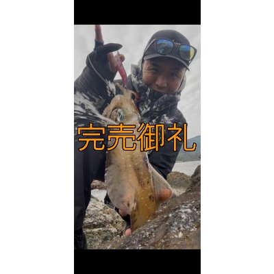 画像9: WILDCHASE 3.5号シャローtune /斑緑龍[監修:椿本 洋士]