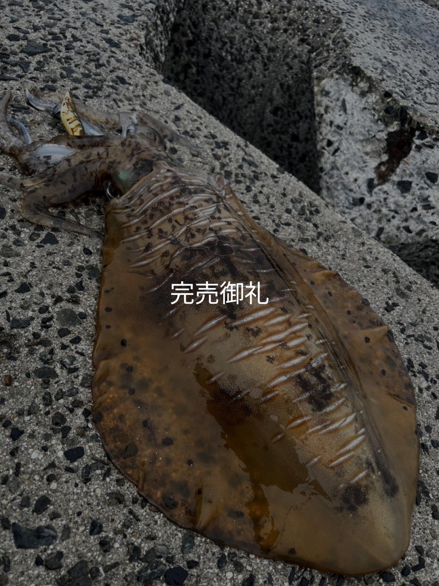 画像14: WILDCHASE 3.0号 /斑緑龍[監修:椿本 洋士] (14)