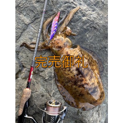 画像15: WILDCHASE 3.5号シャローtune/モンスターパープル [特注:EGI MANIACS]