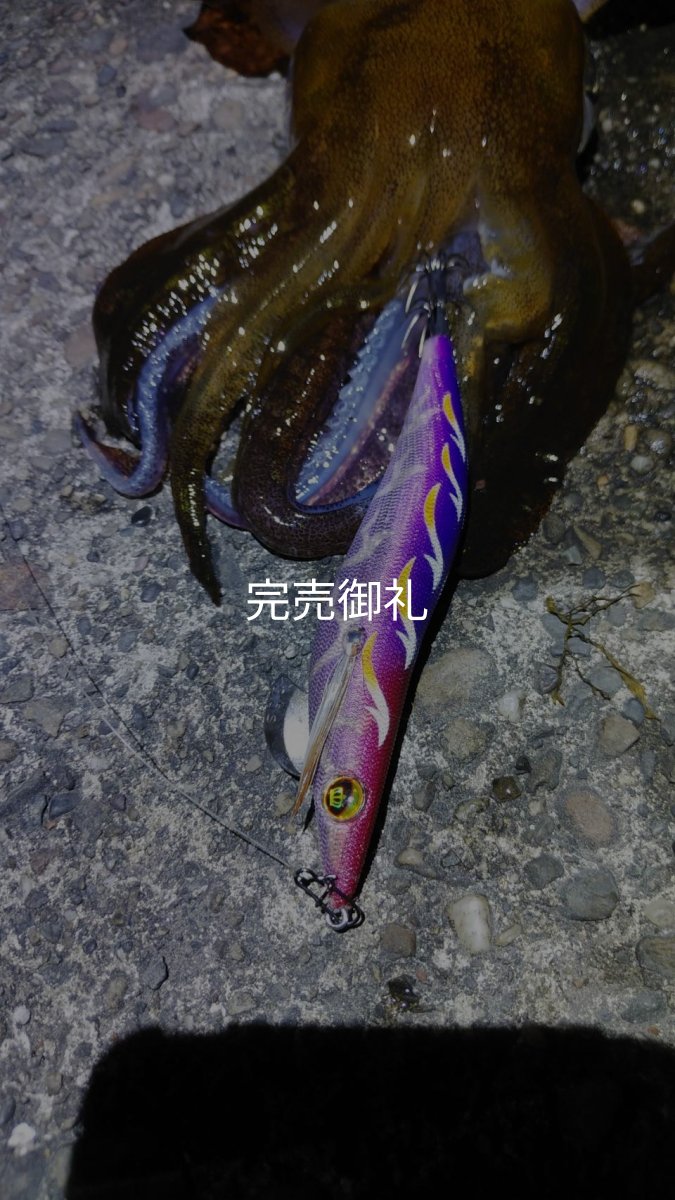 画像14: WILDCHASE 3.5号シャローtune/モンスターパープル [特注:EGI MANIACS] (14)