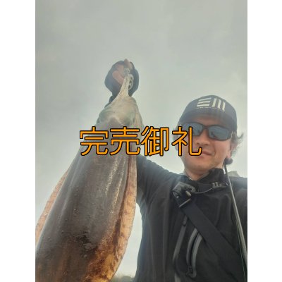 画像10: WILDCHASE 3.5号シャローtune /斑緑龍[監修:椿本 洋士]