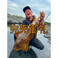 WILDCHASE 3.5号シャローtune /斑緑龍[監修:椿本 洋士]