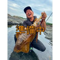 WILDCHASE 3.0号 /斑緑龍[監修:椿本 洋士]