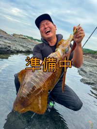 WILDCHASE 3.0号 /斑緑龍[監修:椿本 洋士]