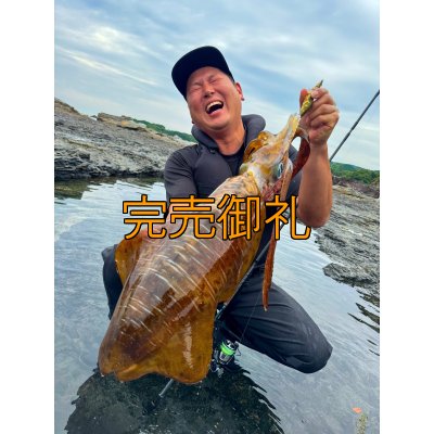 画像1: WILDCHASE 3.5号シャローtune /斑緑龍[監修:椿本 洋士]