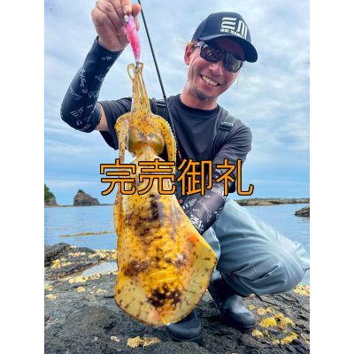 画像2: WILDCHASE 3.5号シャローtune /魅惑のチェリーパイソンＵＶ[監修:椿本 洋士]
