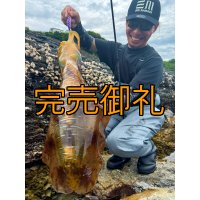 WILDCHASE 3.5号シャローtune/モンスターパープル [特注:EGI MANIACS]