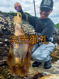 WILDCHASE 3.5号シャローtune/モンスターパープル [特注:EGI MANIACS]
